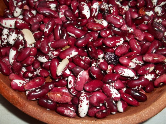 Kidney Beans for Lobio Recipe