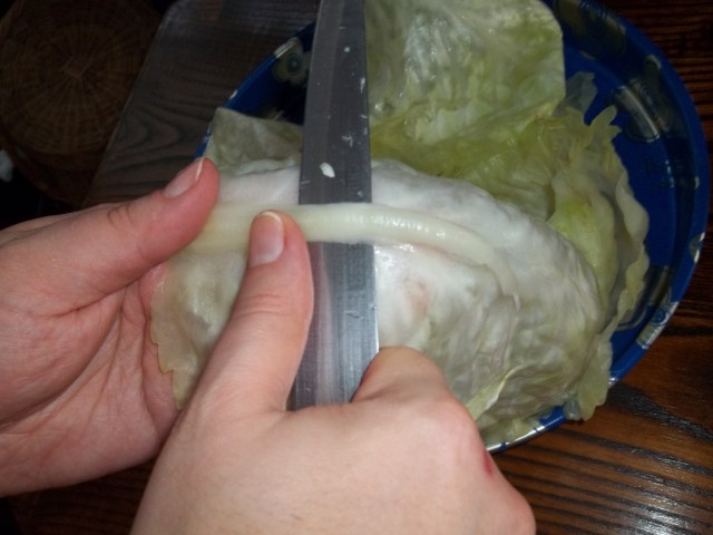 remove-spines-from-the-cabbage-leaves-for-nuts in cabbage leaves-recipe