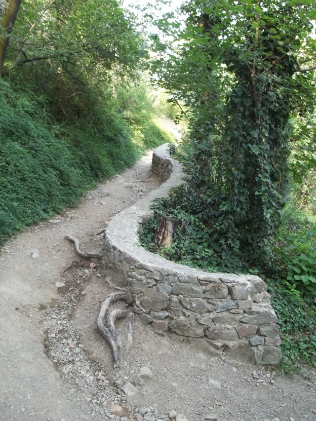 A Path at the National Botanical Garden of Georgia in Tbilisi