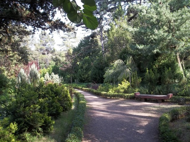Pathway in the National Botanical Garden of Georgia in Tbilisi