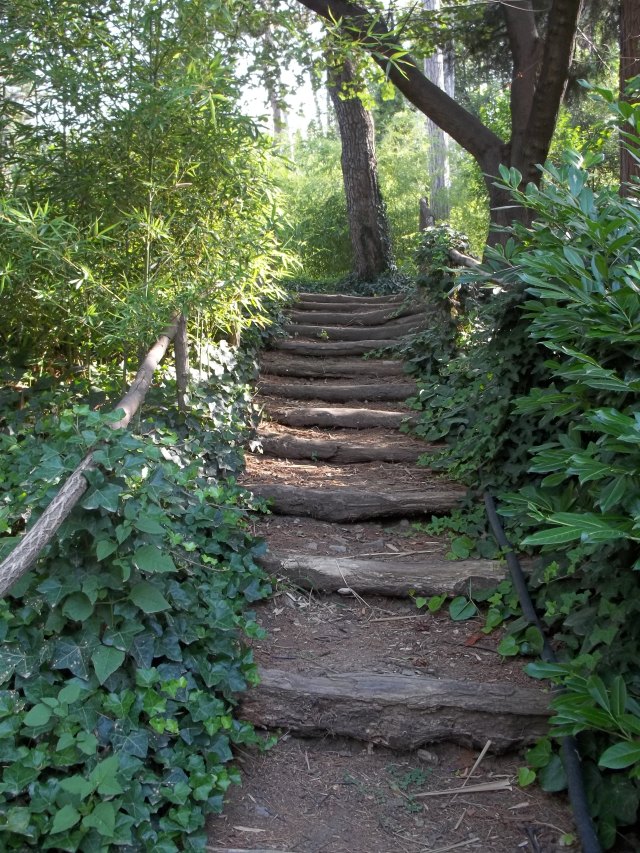 Steps at the National Botanical Garden of Georgia