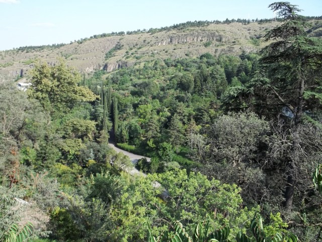 The National Botanical Garden of Georgia
