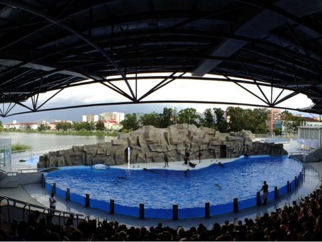 700 Seat Batumi Dolphinarium. Picture courtesy of 6 May Park