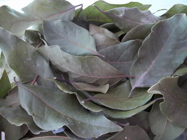 Dried Bay Leaves