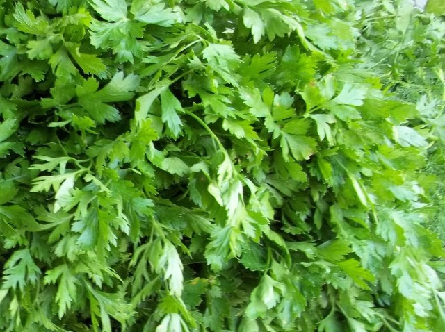 Parsley