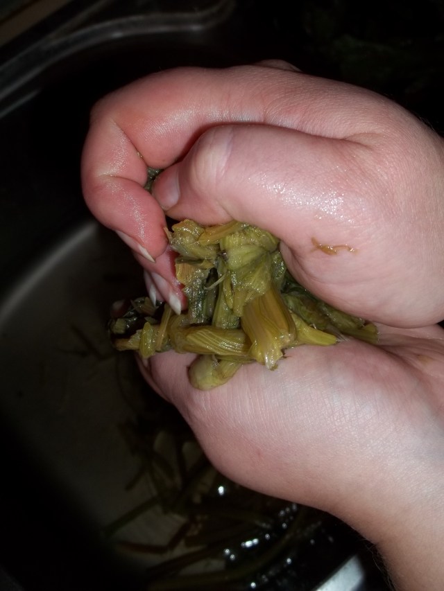 Squeezing Beetroot Stalks for Fkhali with Beetroot Leaves and Nuts Recipe