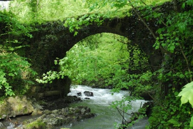 Chvana (Varjanuli) Stone Arch Bridge in Shuakhevi District of Ajara