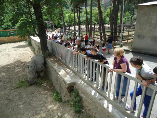 Rhino Enclosure at Tbilisi Zoo