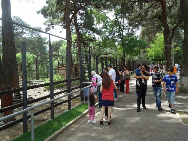 Tbilisi Zoo
