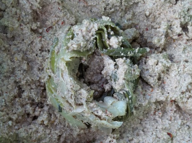 A Nest of Shallot Strips for Shallot Satsivi Recipe