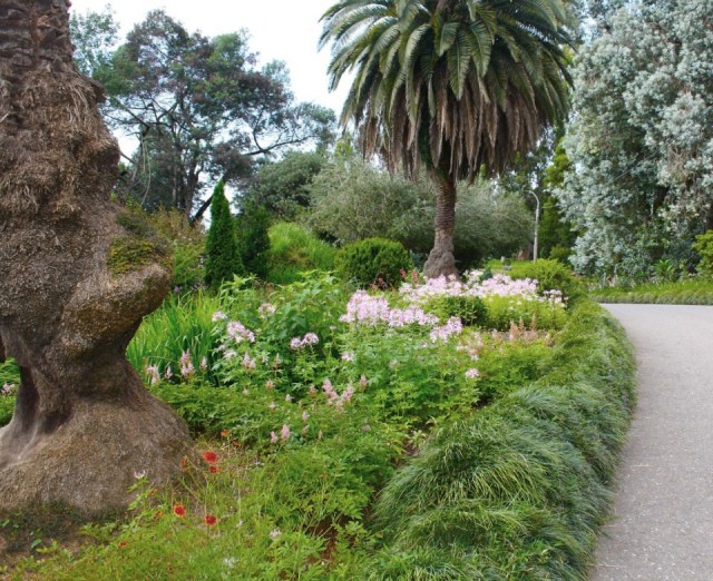Batumi Botanical Garden. Photo courtesy of Batumi Botanical Garden_13