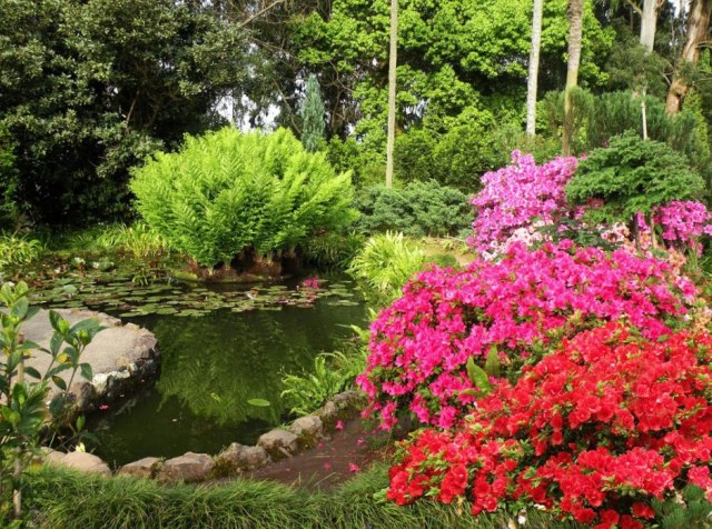 Batumi Botanical Garden. Photo courtesy of Batumi Botanical Garden_5