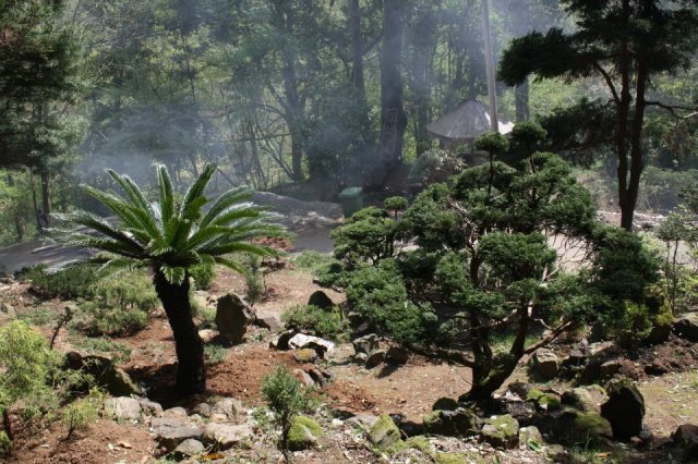 Batumi Botanical Garden. Photo courtesy of Batumi Botanical Garden_9