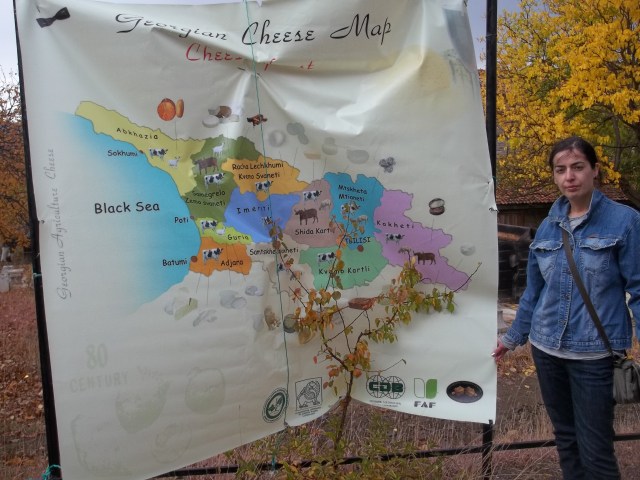 Cheese Festival Tbilisi 19 October 2013