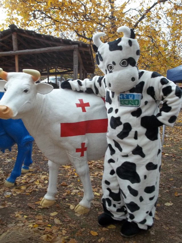 Cheese Festival Tbilisi 19 October 2013