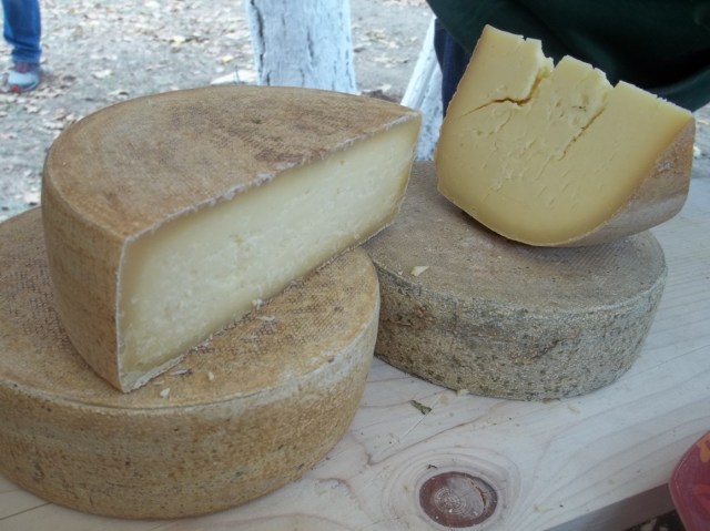 Cheese Festival Tbilisi 19 October 2013