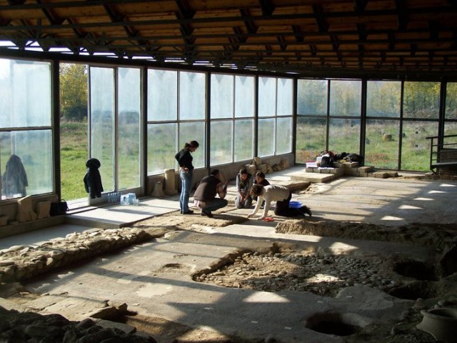 Dzalisa Archaeological Site