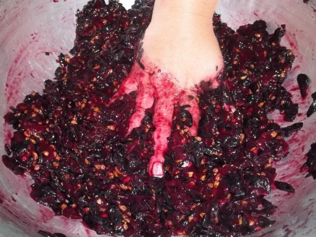 Using a Colander to crush grapes