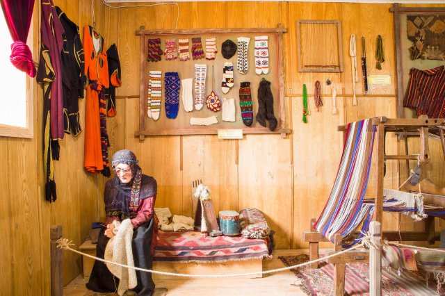 14191501_1655385484777006_1562769749_o