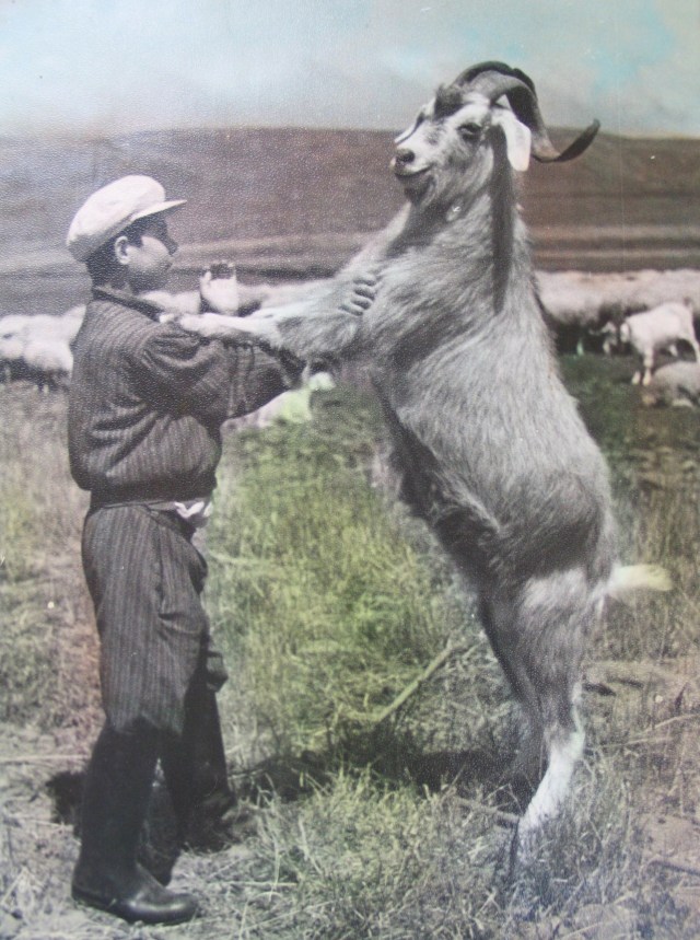 A boy and his goat in 1950's Georgia
