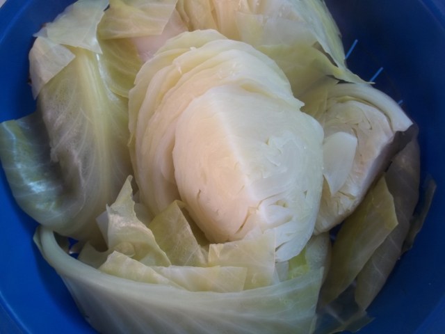 Chopped Cabbage - Copy