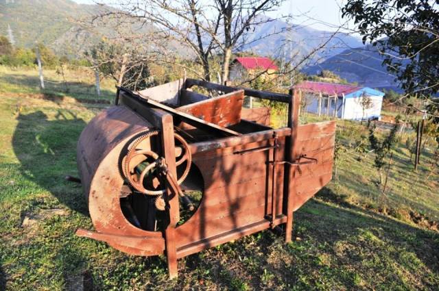 Ethnic Georgians Living in Turkey_10