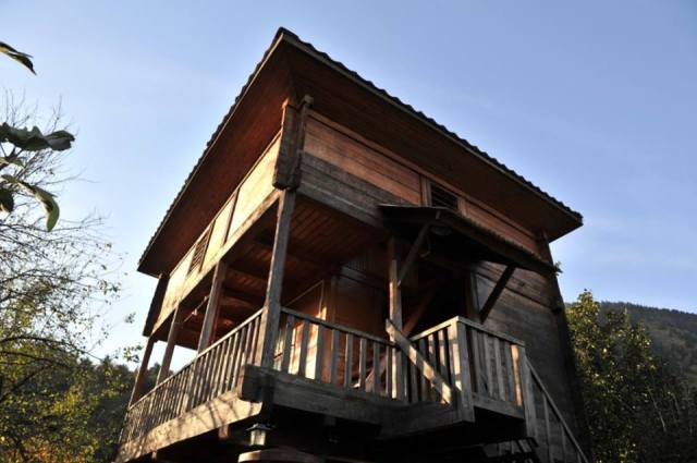 Ethnic Georgians Living in Turkey_11