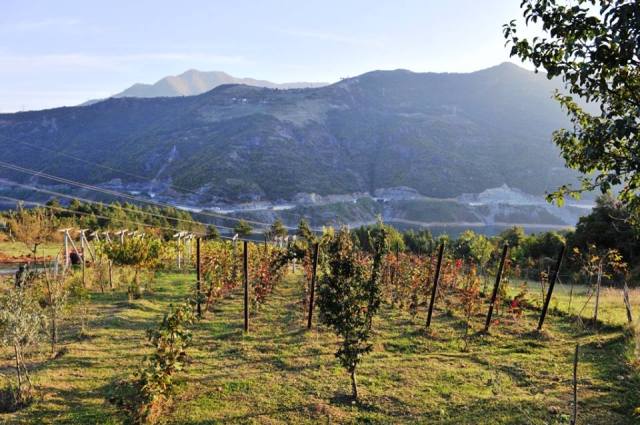 Ethnic Georgians Living in Turkey_4