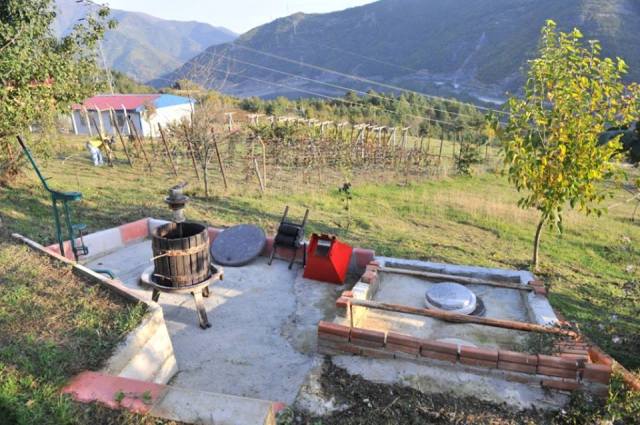 Ethnic Georgians Living in Turkey_5