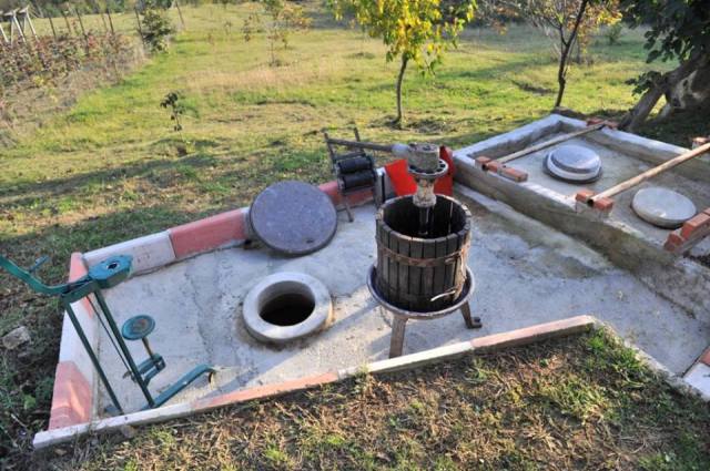 Ethnic Georgians Living in Turkey_6