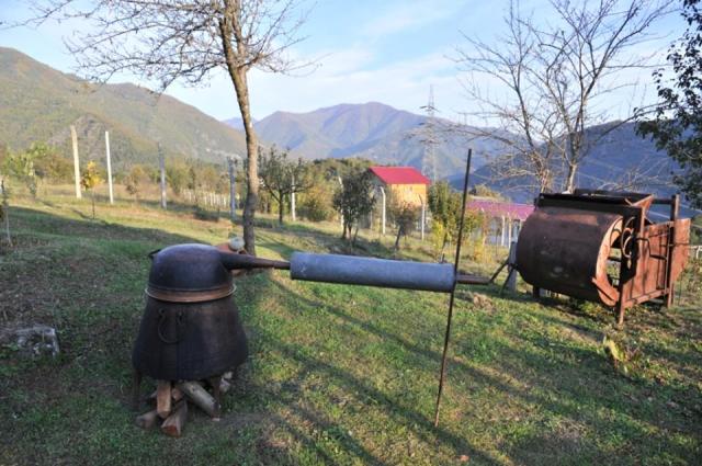 Ethnic Georgians Living in Turkey_9