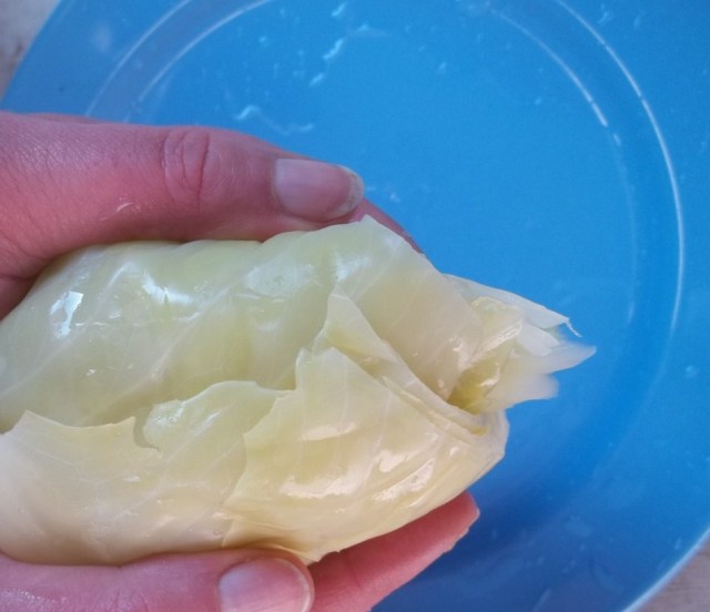 Removing Water from Boiled Cabbage - Copy - Copy