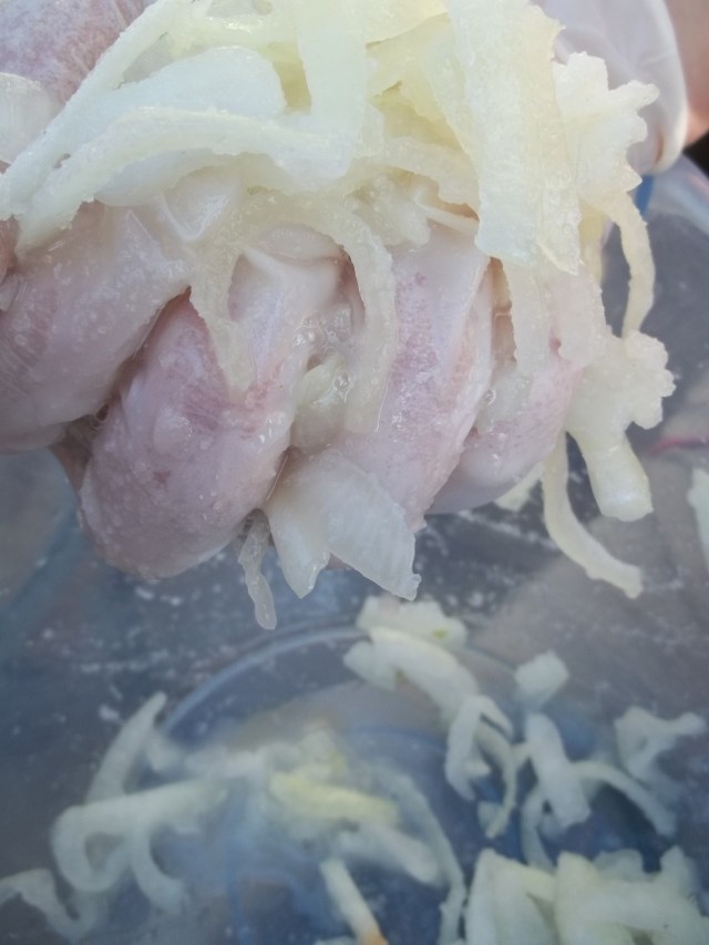 Squeeze Liquid from Onions - Copy