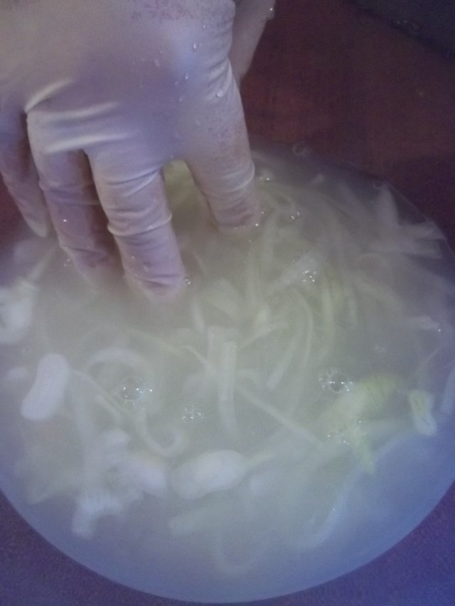 Washing Onions - Copy