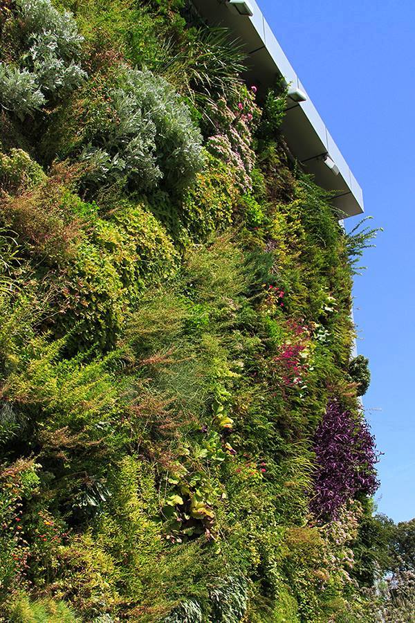 The Vertical Garden in Tbilisi