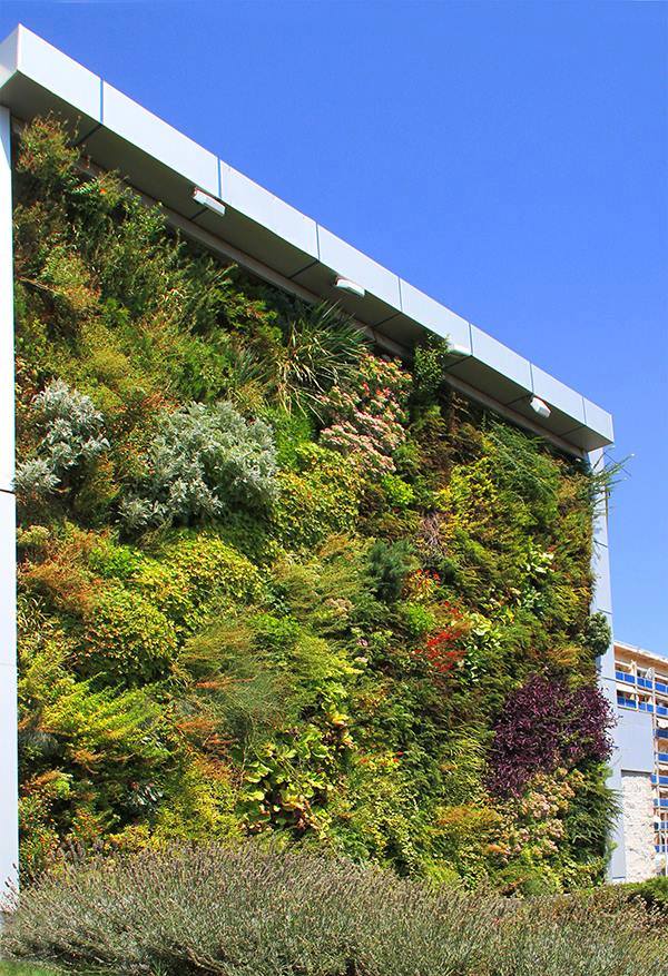The Vertical Garden in Tbilisi.