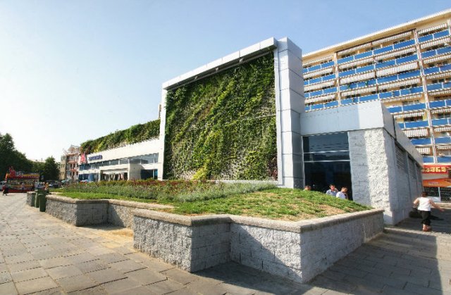 Vertical Garden in Tbilis