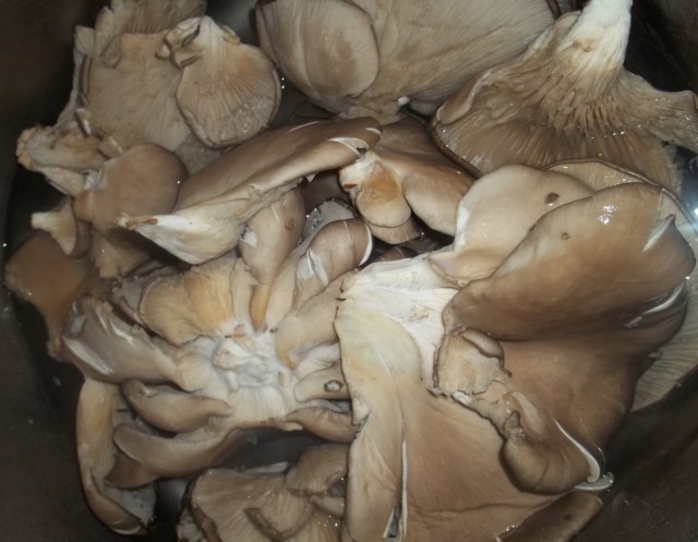 Washing Mushrooms - Copy