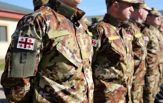 Georgia's Border Police