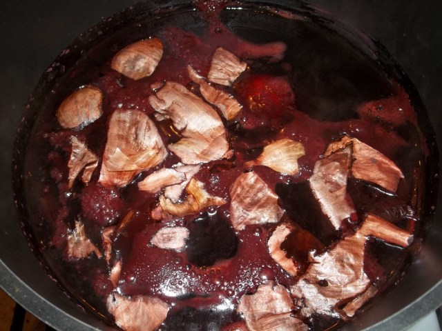 Boiling Onion Skins and Madder Root - Copy