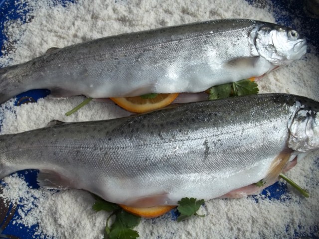 Coating the fish with cornmeal - Copy