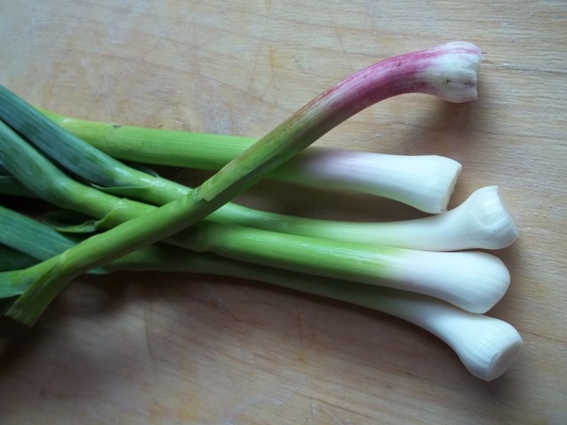 Green Garlic - Copy