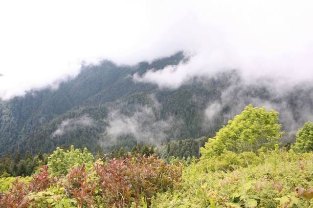 The Egrisi mountain range is often shrouded in cloud and mist