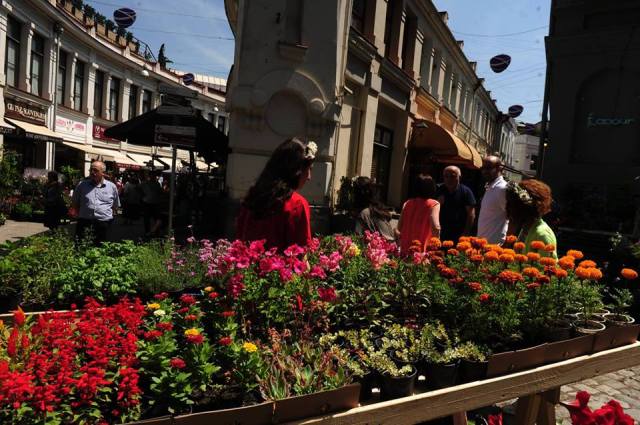 The Flower Festival in Tbilisi.