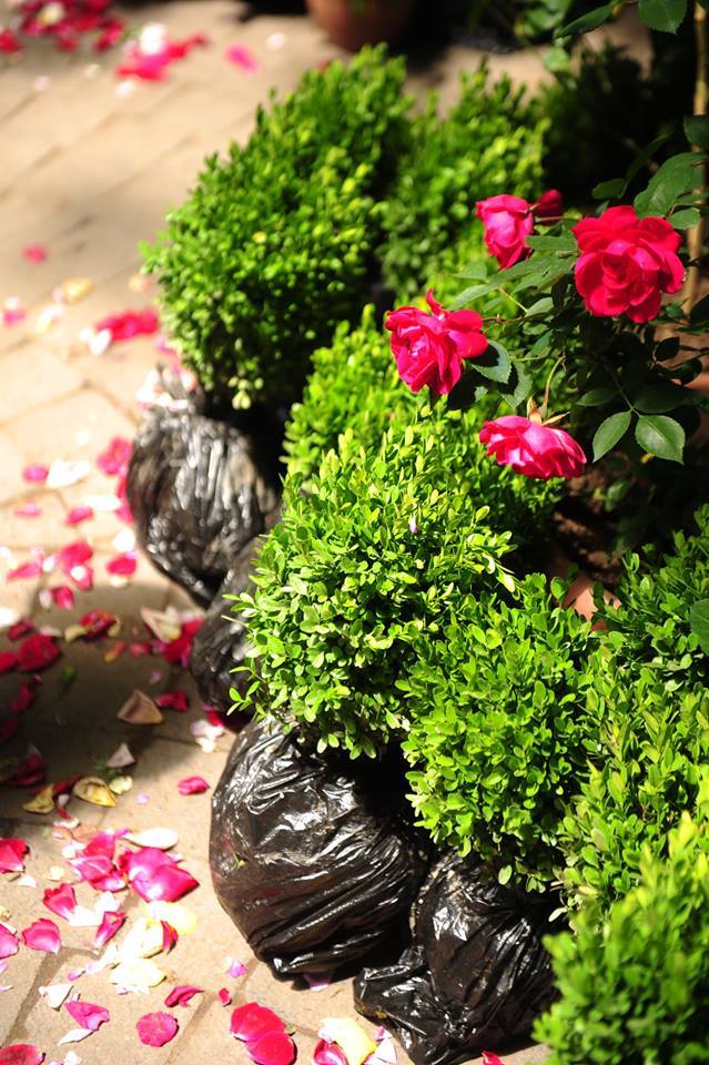 The Flower Festival in Tbilisi