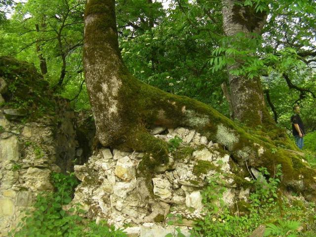 Church of the Virgin Mary at Birkiani Village