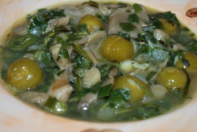 Oyster Mushroom Chakapuli