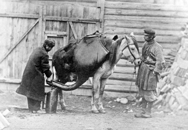 Selling water from large leather containers in 19th century Tiflis