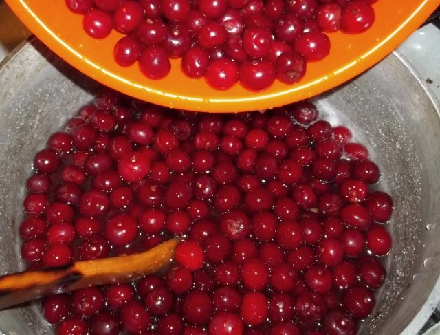 Adding Cherries - Copy