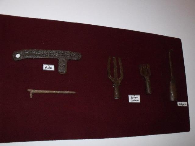 Exhibits at the Zhiuli Shartava Senaki Museum